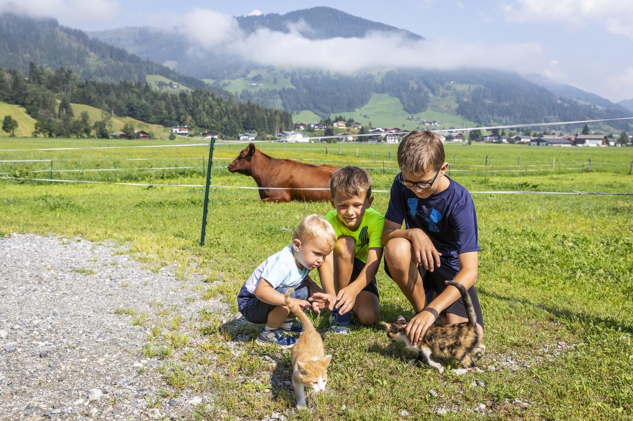 Feriengut Fingerhof Flachau